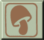 mushrooms room: do you know these mysterious 'plants'?